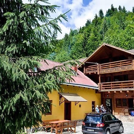 Cabana Bradul Rodna Exteriör bild