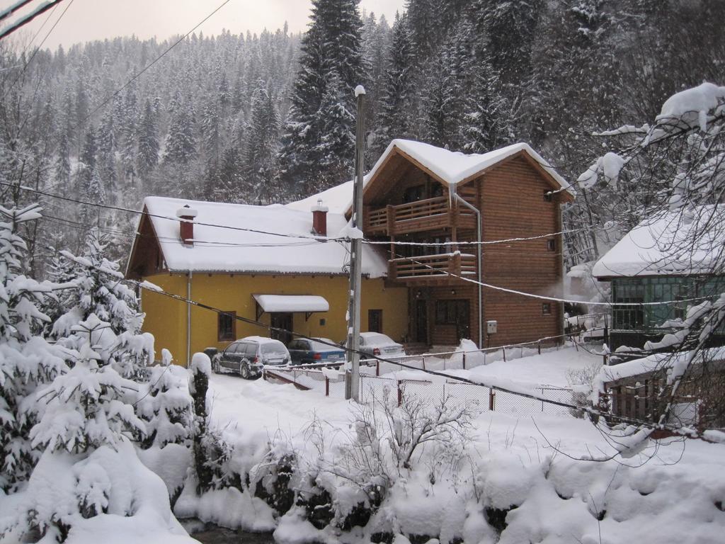 Cabana Bradul Rodna Exteriör bild