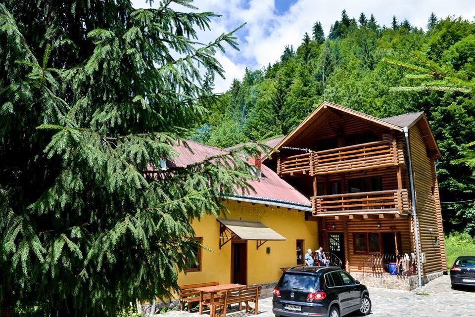 Cabana Bradul Rodna Exteriör bild