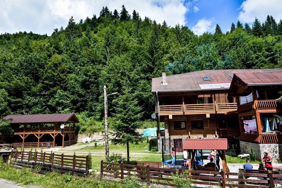 Cabana Bradul Rodna Exteriör bild