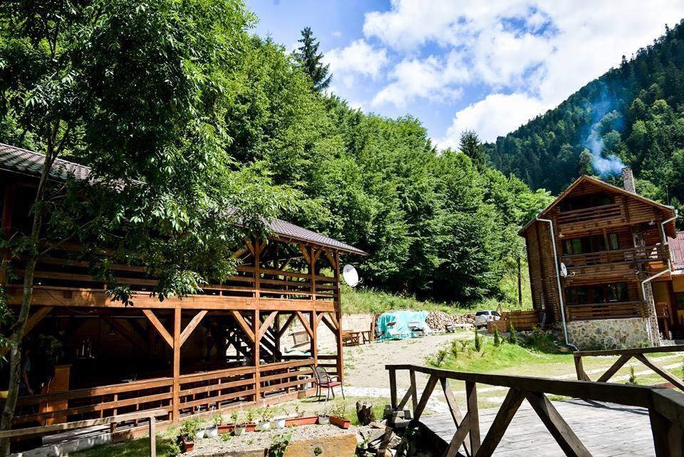 Cabana Bradul Rodna Exteriör bild